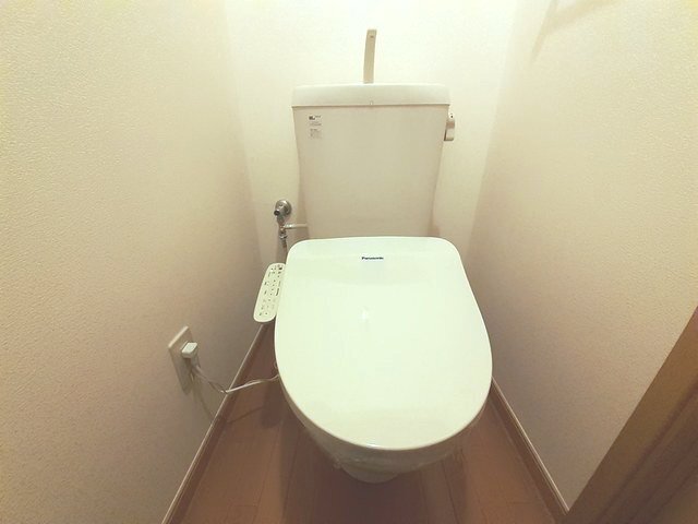 8/20 その他画像