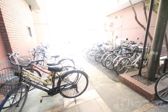 25/30 その他画像