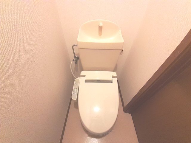 8/20 その他画像