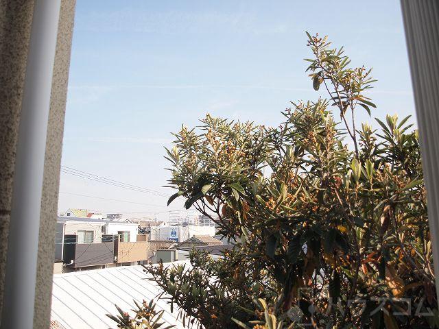 19/30 その他画像