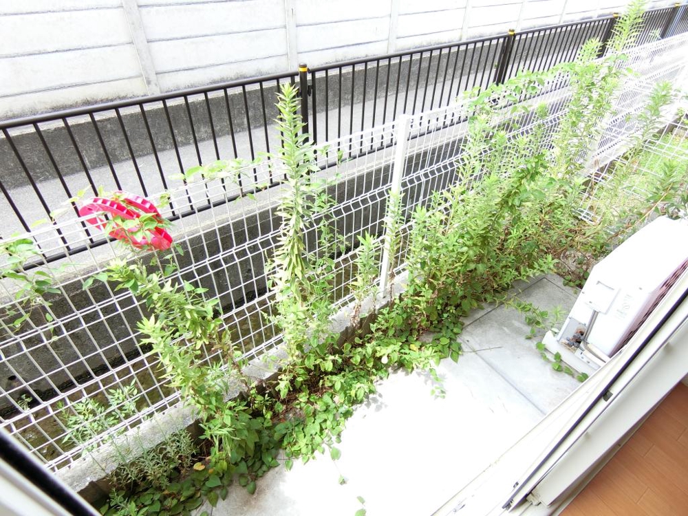 19/30 バルコニー