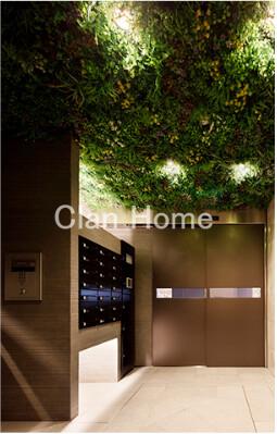 5/20 その他画像