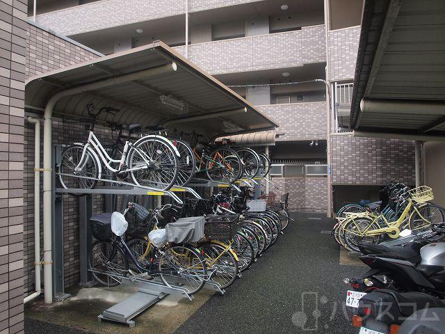 5/16 その他画像