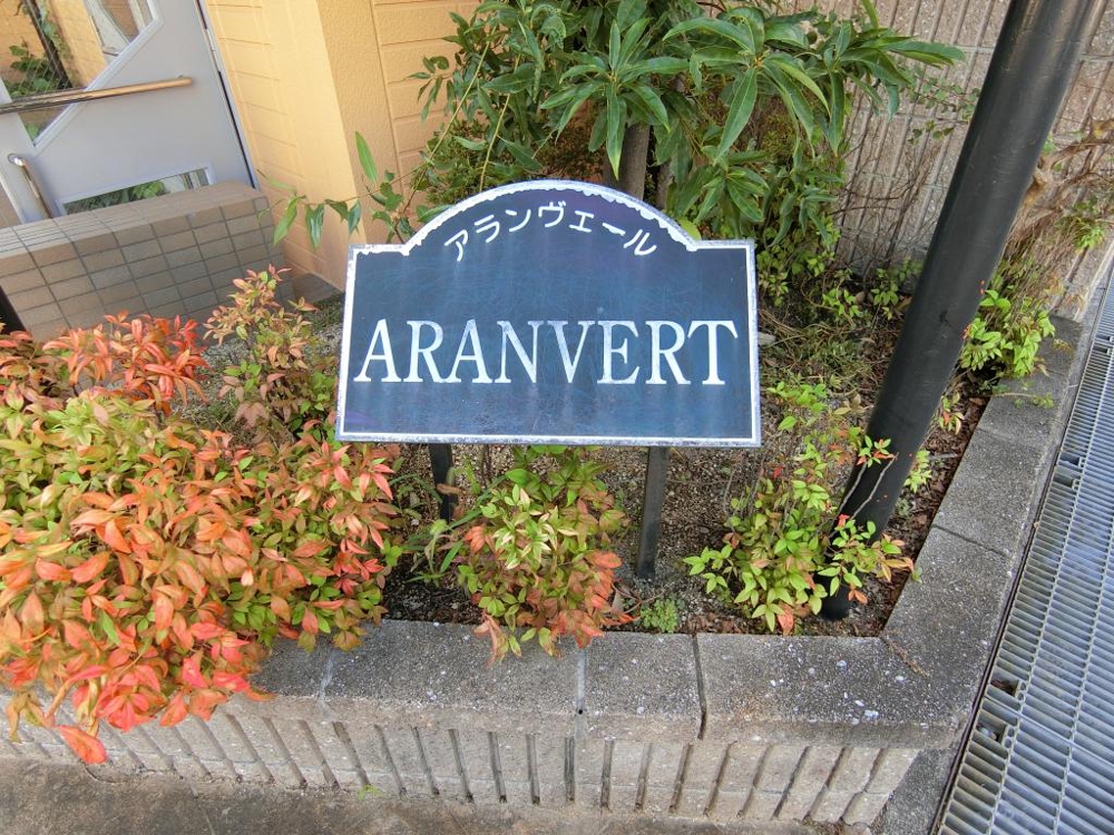 25/29 その他画像