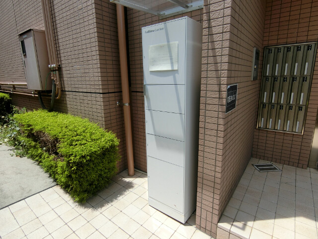 25/30 その他画像