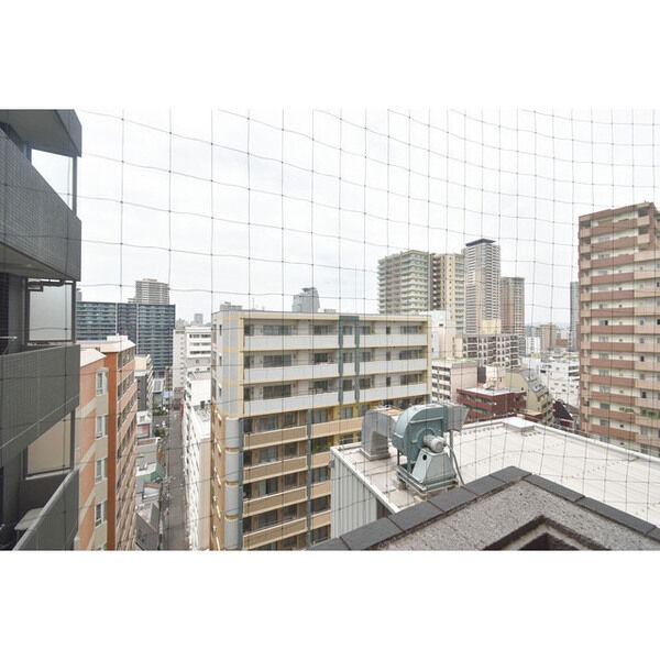 11/21 その他画像