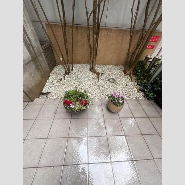 3/19 その他画像