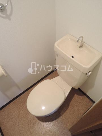 11/26 トイレ