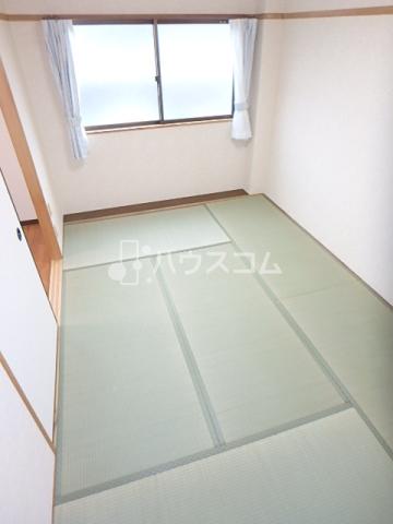 5/20 室内