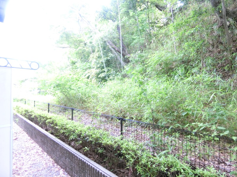 21/30 その他画像