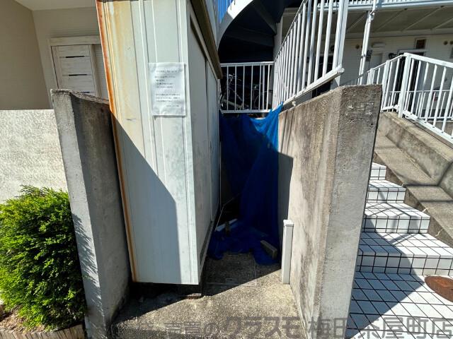 29/30 周辺