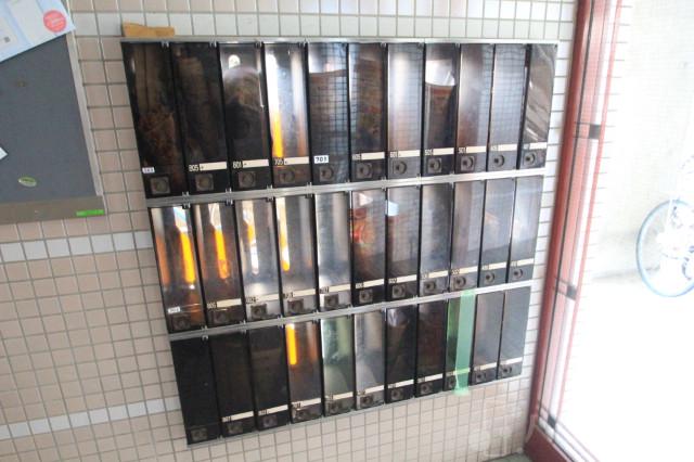 25/30 その他画像