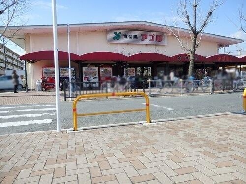 30/30 周辺