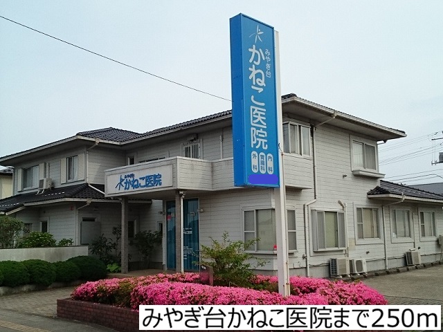17/20 周辺