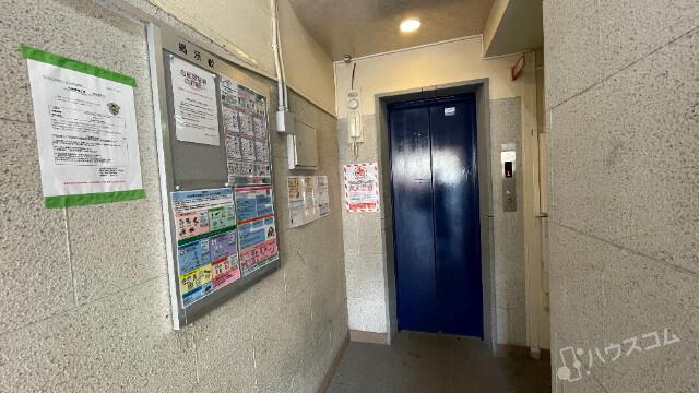 15/29 その他画像