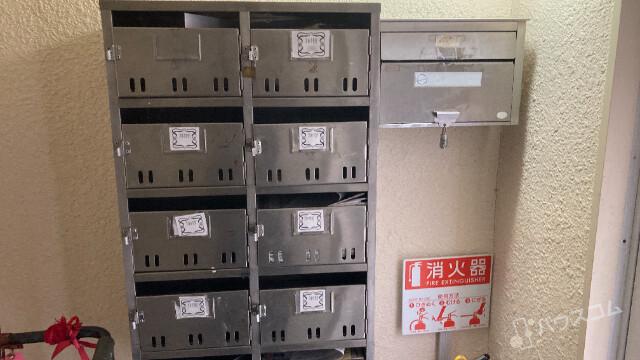 5/15 周辺