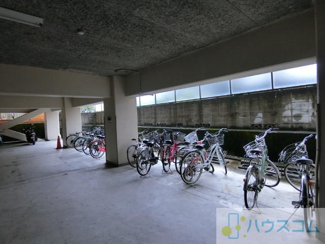 5/5 周辺