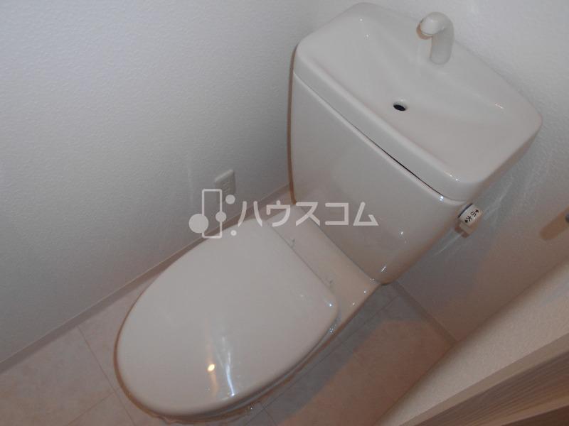 12/29 トイレ