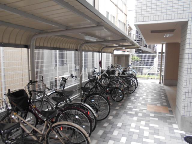 3/16 駐車場