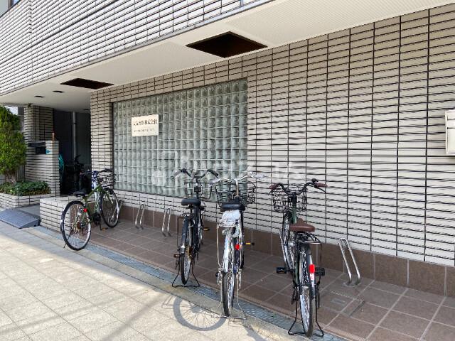 3/15 駐車場