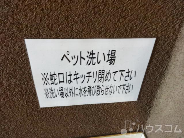 19/24 周辺