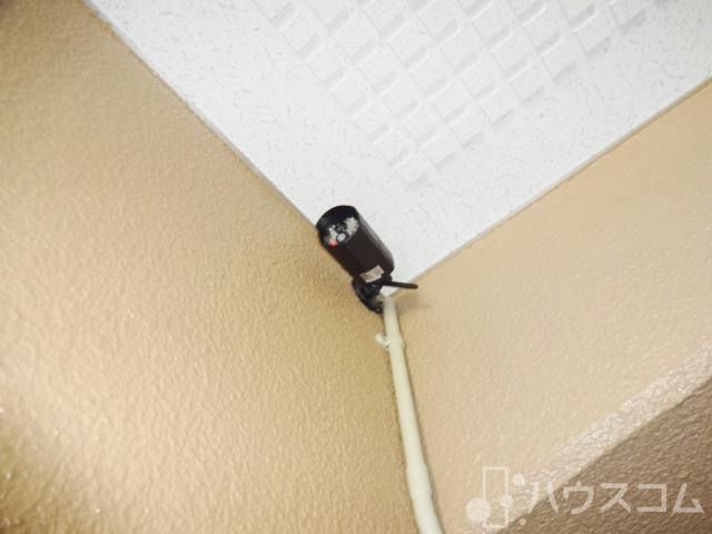 17/24 その他画像