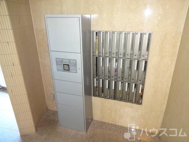 3/7 周辺