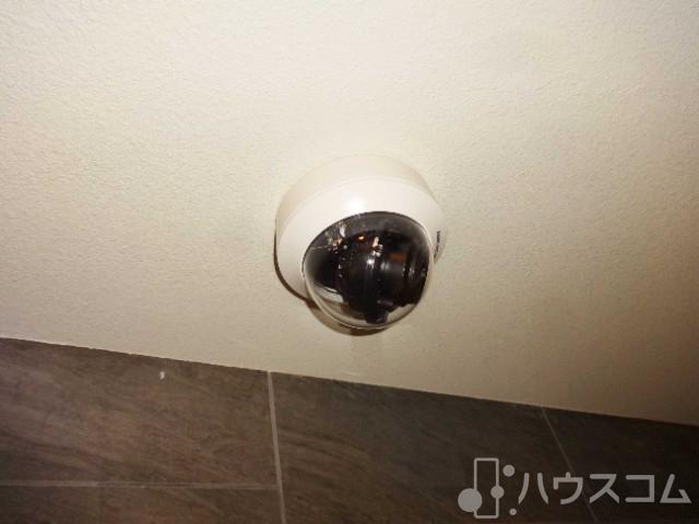 21/29 その他画像