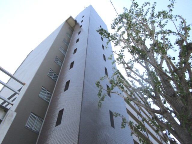 2/29 外観