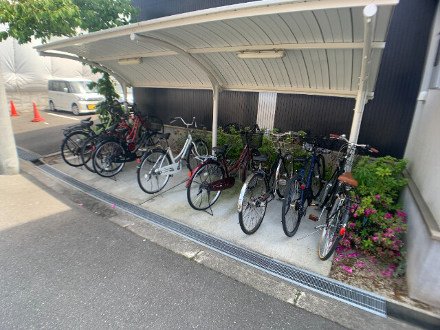 3/6 周辺
