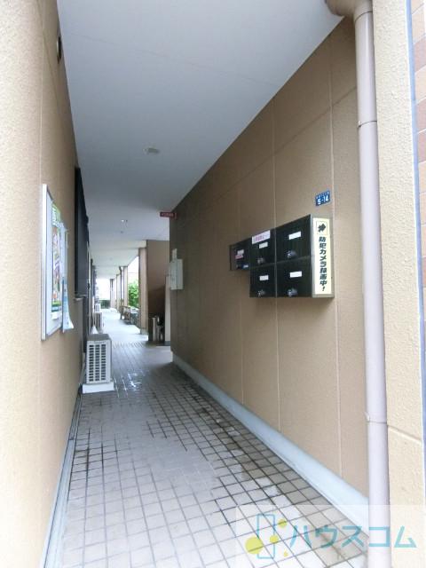 25/30 その他画像