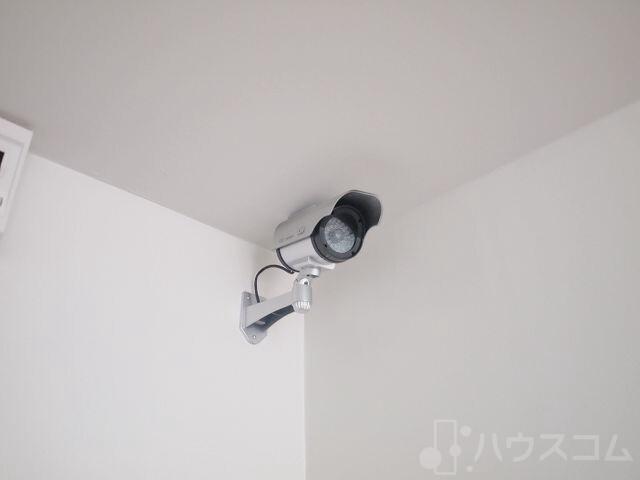 29/30 周辺