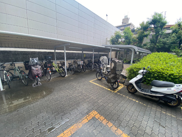 29/30 その他画像