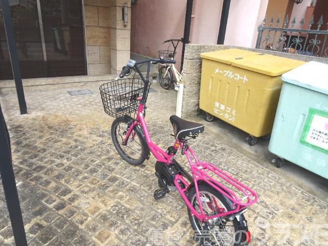 その他画像