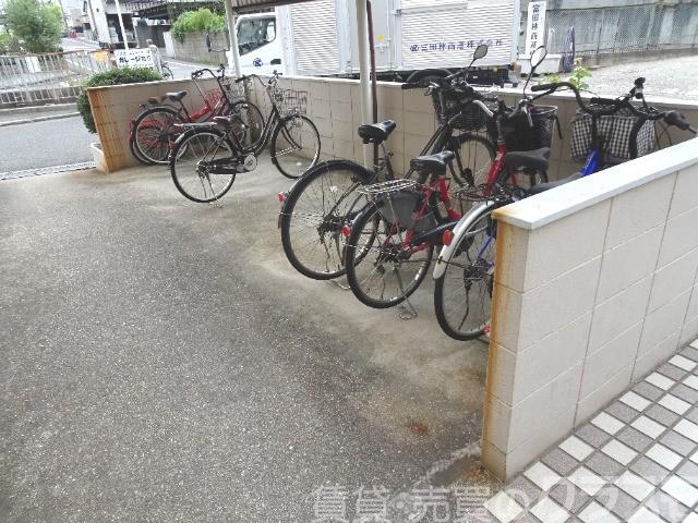 20/30 その他画像