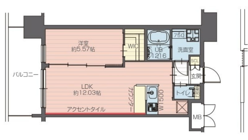 2/30 間取