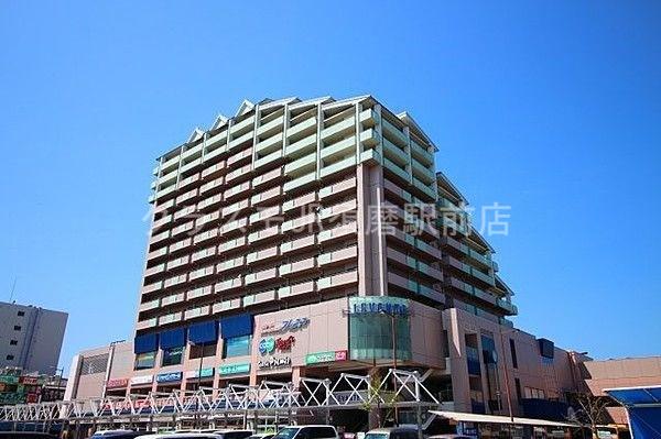 4/11 周辺