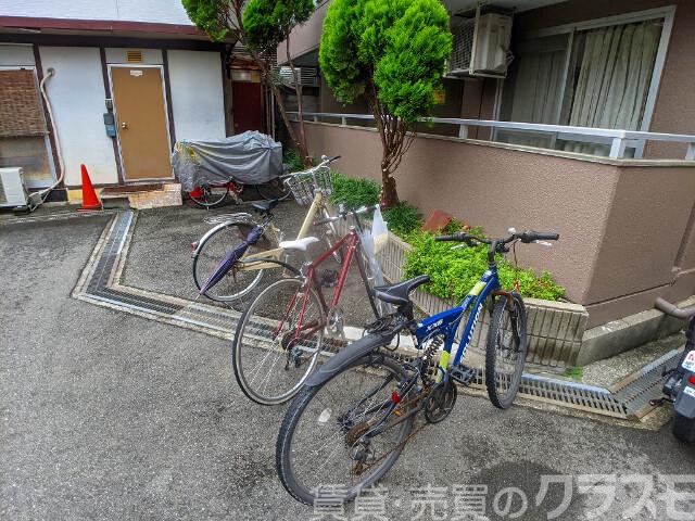 5/10 周辺