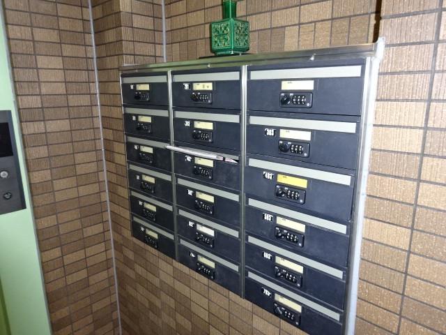 4/9 周辺