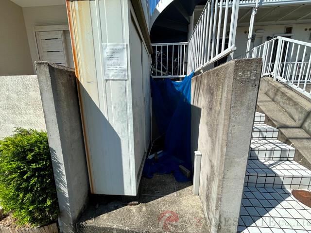 29/30 周辺