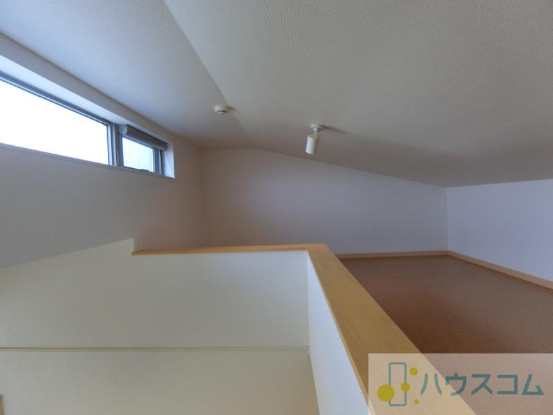 20/30 その他画像