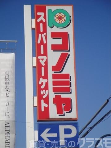 3/14 周辺