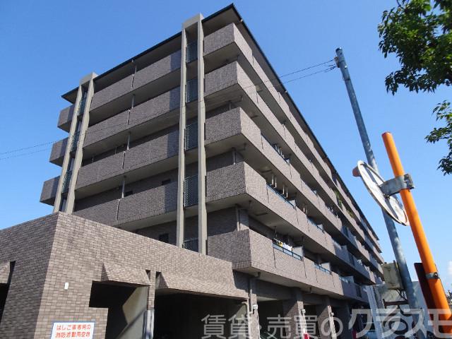 1/25 外観