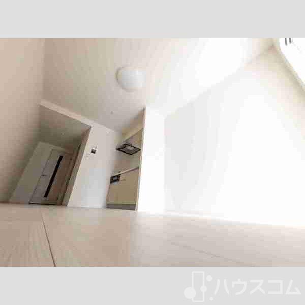 15/19 その他画像