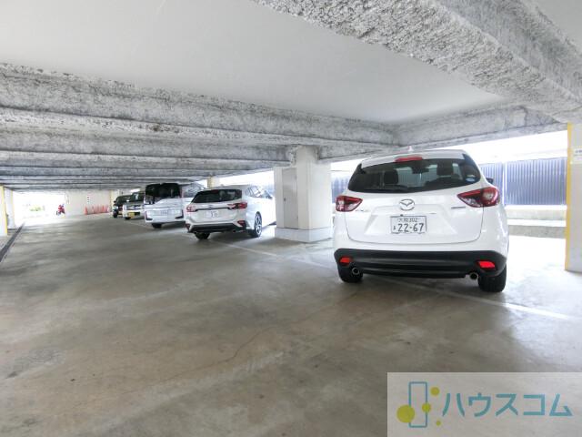 5/6 周辺