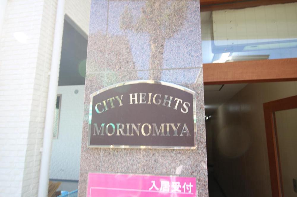 5/6 周辺